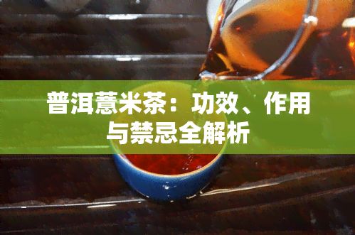 普洱薏米茶：功效、作用與禁忌全解析