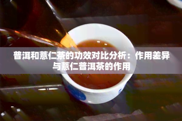 普洱和薏仁茶的功效對比分析：作用差異與薏仁普洱茶的作用