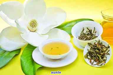 減肥瘦身茶有哪些