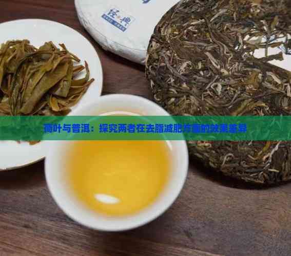 荷叶与普洱：探究两者在去脂减肥方面的效果差异