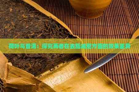 荷叶与普洱：探究两者在去脂减肥方面的效果差异