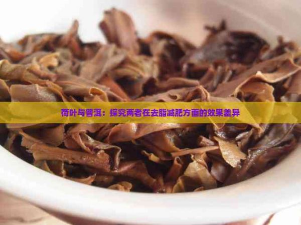 荷叶与普洱：探究两者在去脂减肥方面的效果差异
