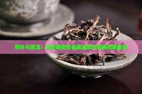 荷叶与普洱：探究两者在去脂减肥方面的效果差异