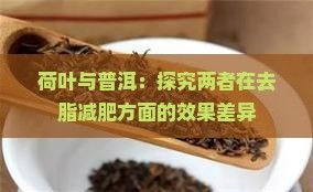 荷叶与普洱：探究两者在去脂减肥方面的效果差异