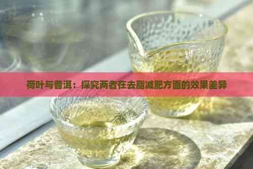 荷叶与普洱：探究两者在去脂减肥方面的效果差异