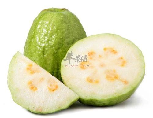 番石榴的副作用 小心服用的禁忌