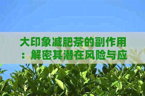 大印象减肥茶的副作用：解密其潜在风险与应对策略，以助您健减重