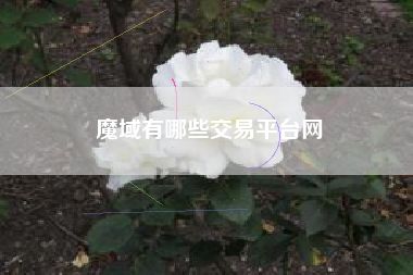 魔域有哪些交易平台网