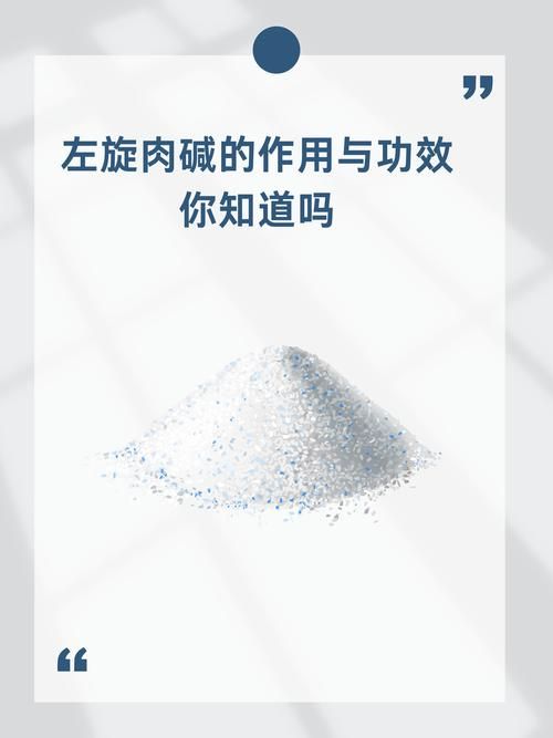 左旋肉碱能减肥吗