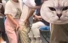 白衣男子在張信哲演唱會(huì)上猥褻多名女觀眾？警方最新回應(yīng)