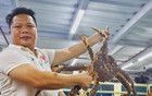 黃沙水產(chǎn)中心開業(yè)，廣州人的海鮮新地標(biāo)來了