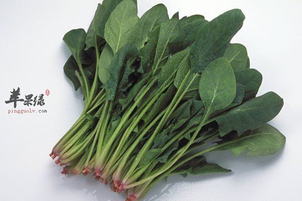 减肥方法多 多吃蔬菜可以消脂