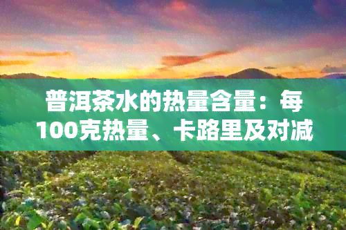 普洱茶水的熱量含量:每100克熱量、卡路里及對(duì)減肥的影響全面解析