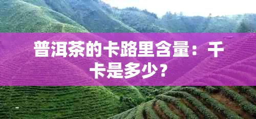 普洱茶的卡路里含量:千卡是多少?