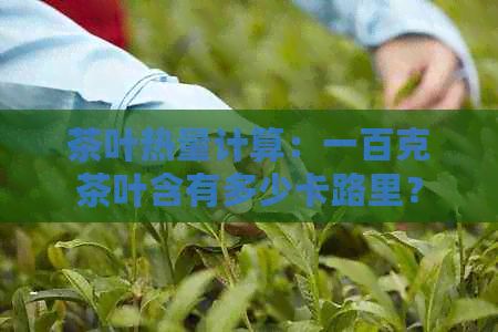 茶葉熱量計算：一百克茶葉含有多少卡路里？同時探討其他因素對熱量的影響