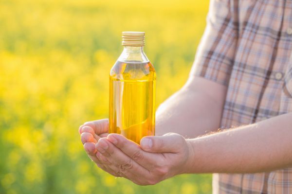 男性が菜種油の入った瓶を両手で持っている