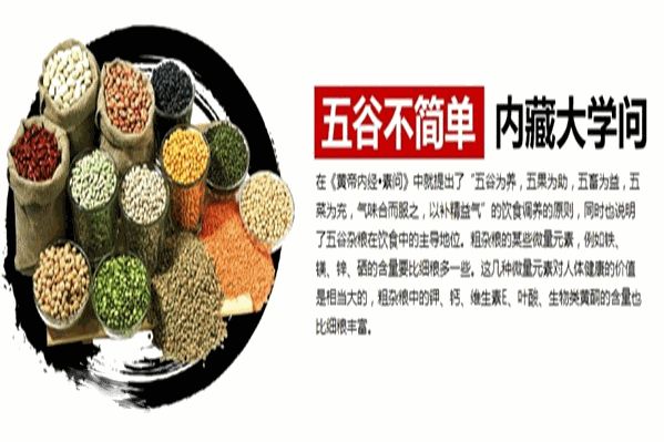 康豆健康养生热饮