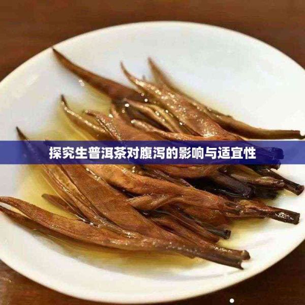 探究生普洱茶对腹泻的影响与适宜性