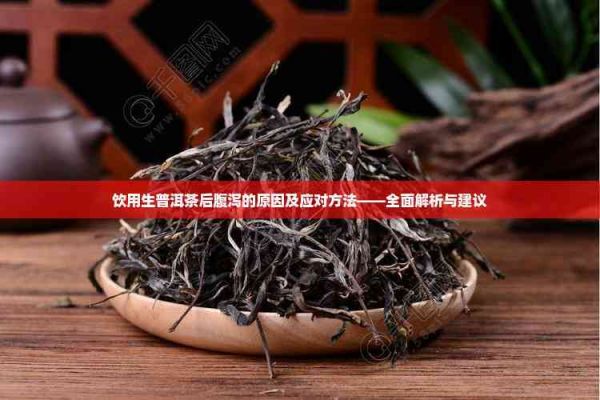 飲用生普洱茶后腹瀉的原因及應(yīng)對方法——全面解析與建議
