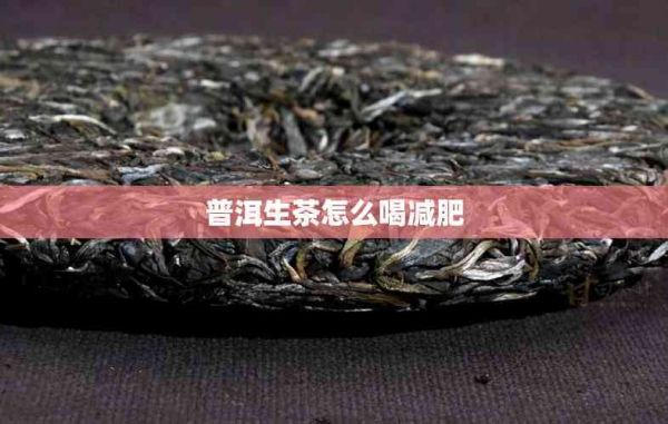 普洱生茶怎么喝减肥