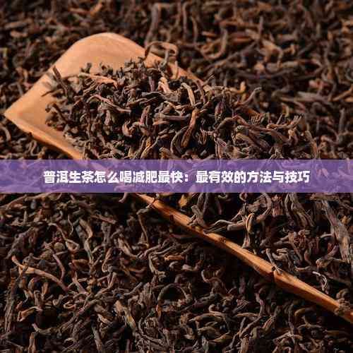 普洱生茶怎么喝减肥最快：最有效的方法与技巧
