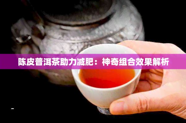 陳皮普洱茶助力減肥：神奇組合效果解析