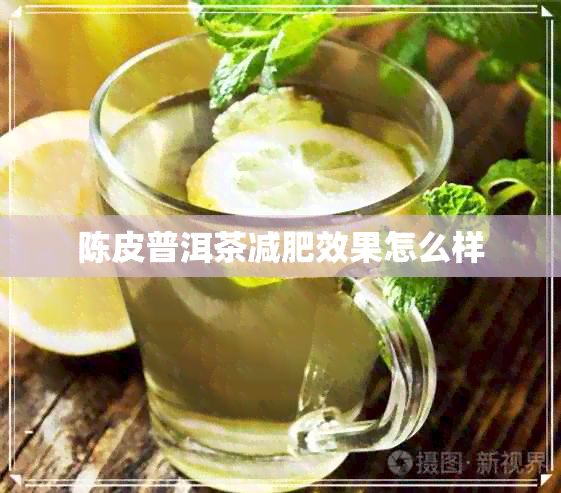 陳皮普洱茶減肥效果怎么樣