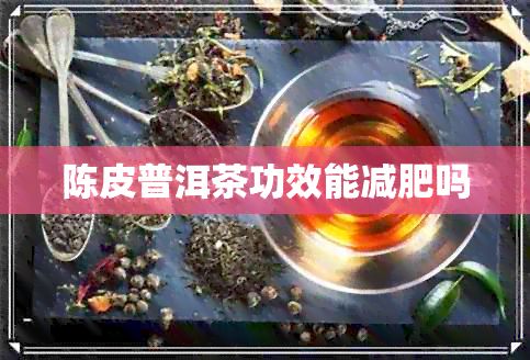 陳皮普洱茶功效能減肥嗎