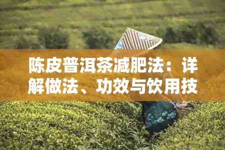 陳皮普洱茶減肥法：詳解做法、功效與飲用技巧