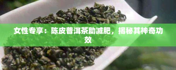 女性專享：陳皮普洱茶助減肥，揭秘其神奇功效