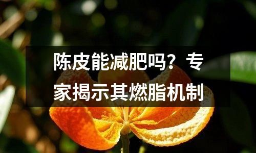 陈皮能减肥吗？专家揭示其燃脂机制