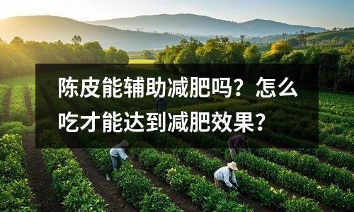 陳皮能輔助減肥嗎？怎么吃才能達(dá)到減肥效果？