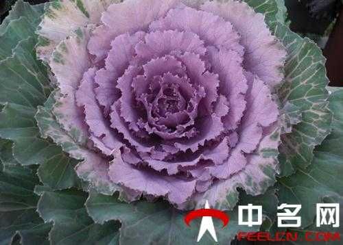 走路瘦身法管不管用_走路瘦身法的教学视频_