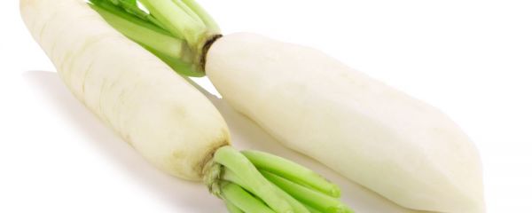 秋季快走能减肥吗 快走减肥的最佳时间 秋季减肥吃哪些食物好