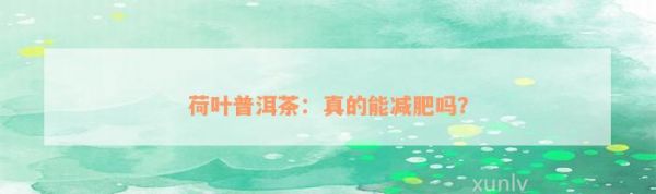 荷叶普洱茶：真的能减肥吗？