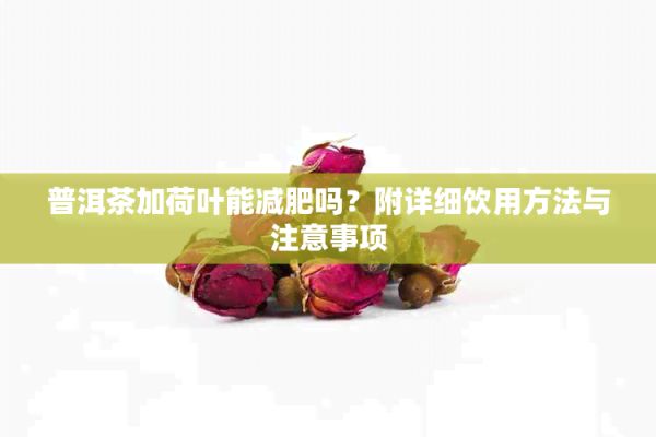 普洱茶加荷叶能减肥吗？附详细饮用方法与注意事项