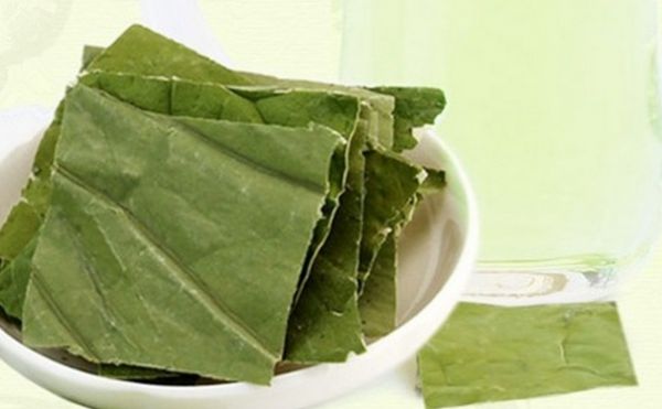 玫瑰花和荷叶一起喝减肥吗？玫瑰花和荷叶泡水喝能减肥吗？(1)