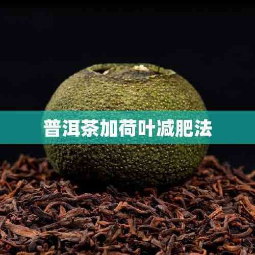普洱茶加荷叶减肥法