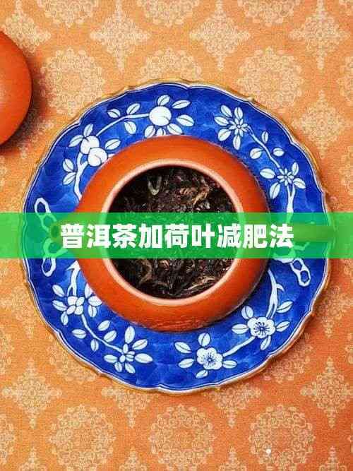 普洱茶加荷叶减肥法