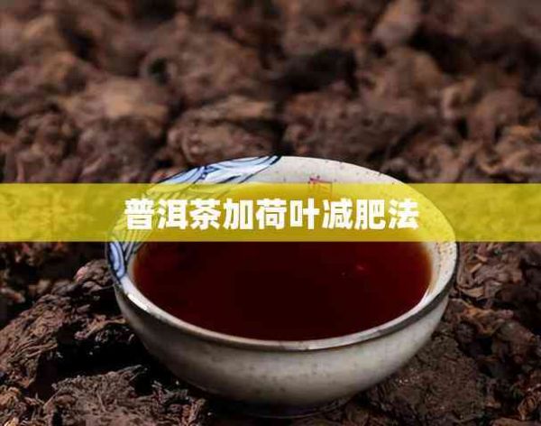 普洱茶加荷叶减肥法