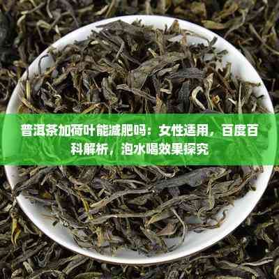 普洱茶加荷叶能减肥吗：女性适用，百度百科解析，泡水喝效果探究