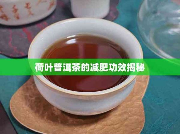 荷叶普洱茶的减肥功效揭秘