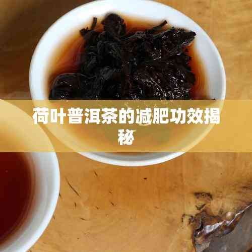 荷叶普洱茶的减肥功效揭秘