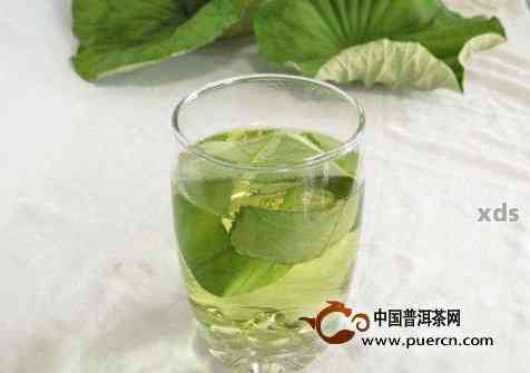 普洱茶荷叶减肥效果好吗：探讨普洱荷叶茶的减肥功效与作用