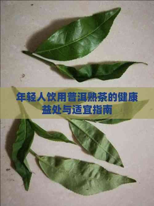 年轻人饮用普洱熟茶的健康益处与适宜指南