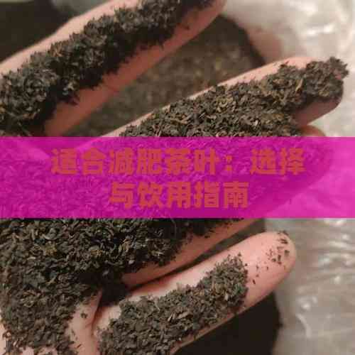 适合减肥茶叶：选择与饮用指南