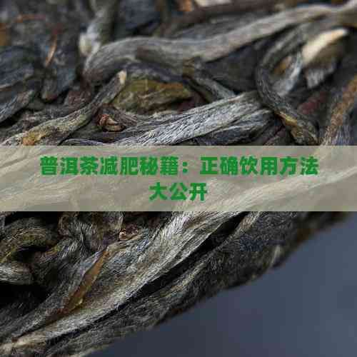普洱茶减肥秘籍：正确饮用方法大公开