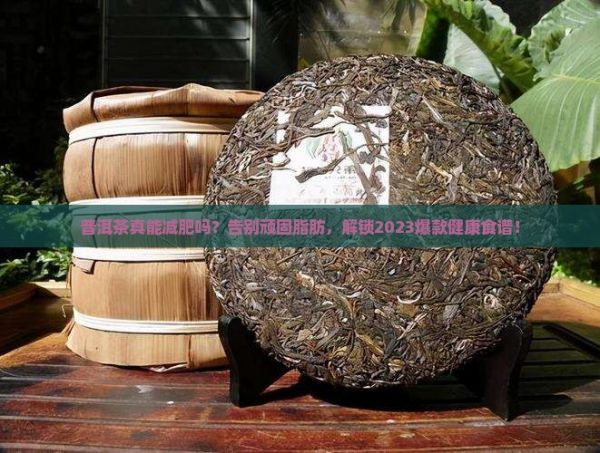 普洱茶与健康减肥食谱