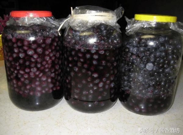 果酒技术：家中几种常见水果酒酿造方法，制作方法很简单