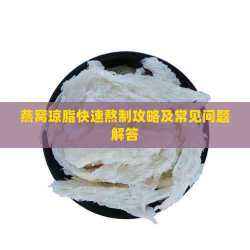 燕窩瓊脂快速熬制攻略及常見問題解答